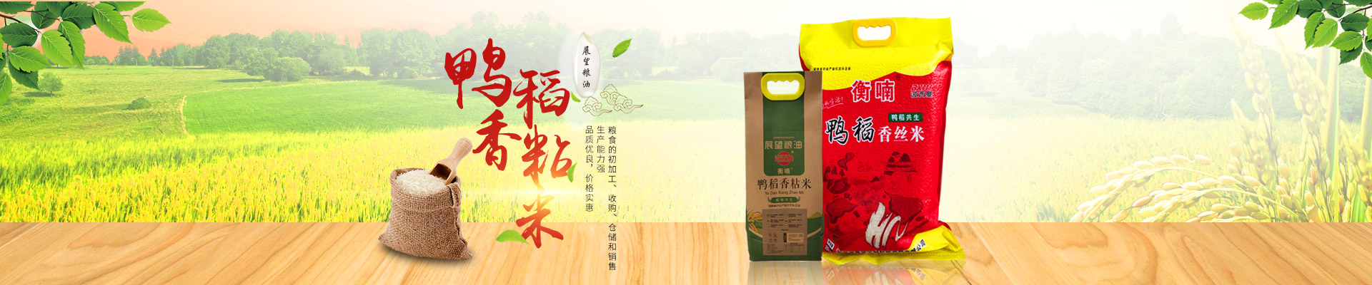 ����ʡ���������Ƽ���չ���޹�˾_ũ����Ʒ�ӹ�|��ʳ�չ�