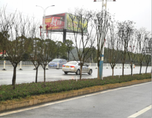 ũ����Ʒ�ӹ�,��ʳ�չ�,���ϵ���ֲ,����ʡ���������Ƽ���չ���޹�˾